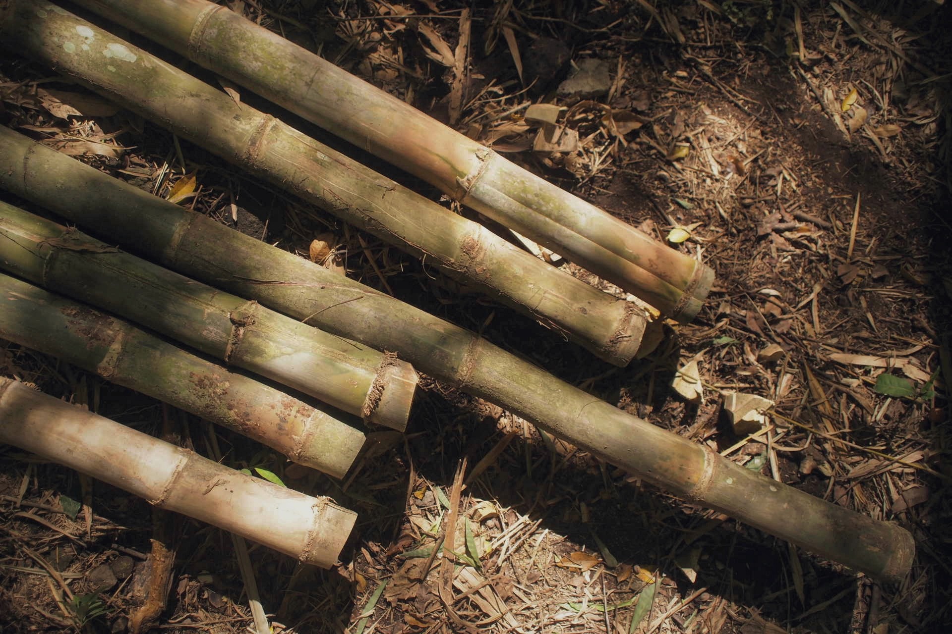 Sam Po - Ruas Bambu Nusa