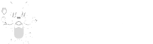 client playace logo