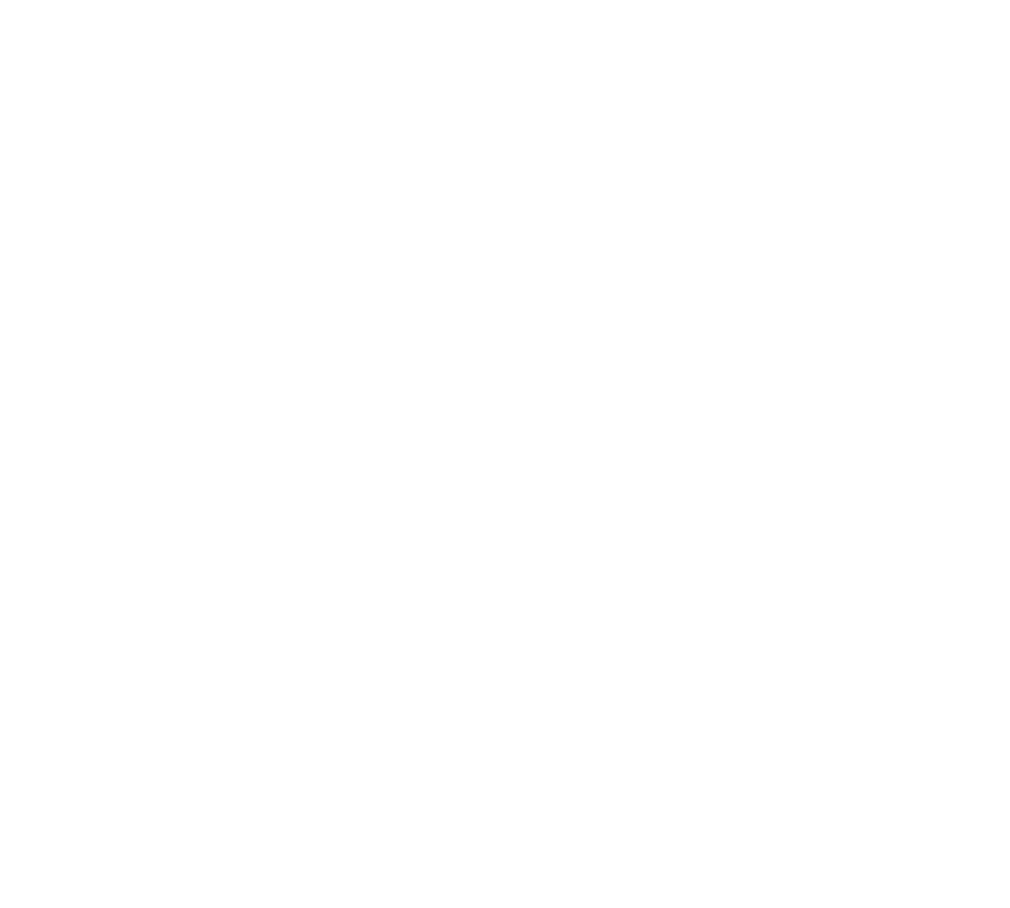 Pinnacle Academy Logo