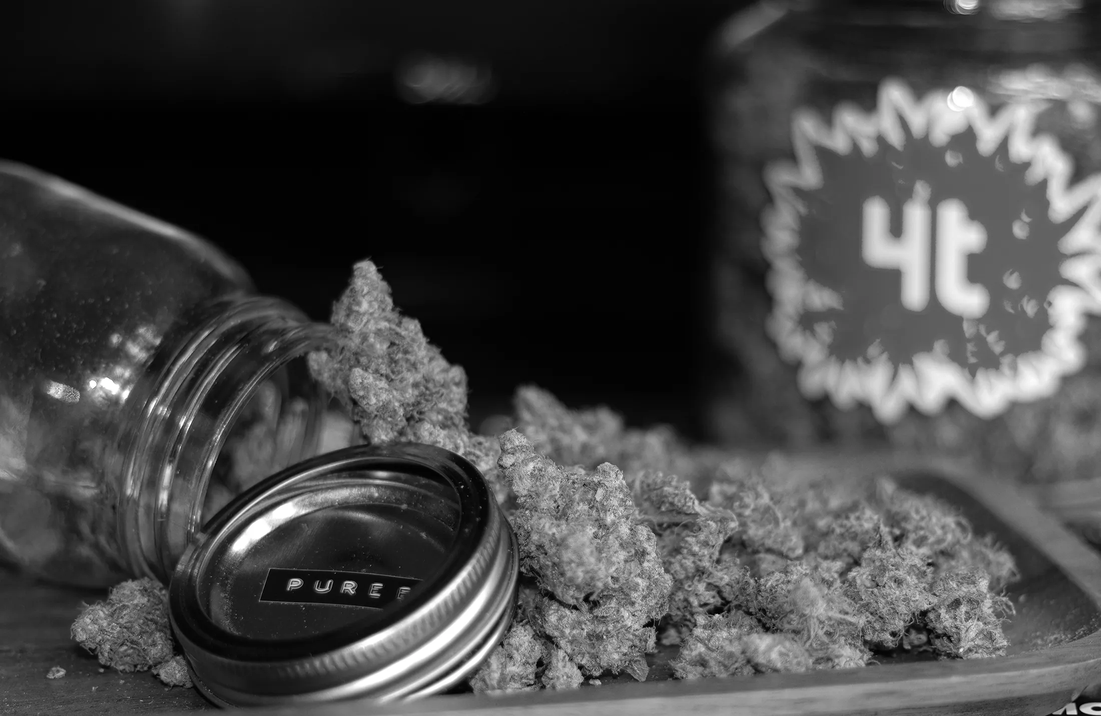 Puree strain dried cannabis buds