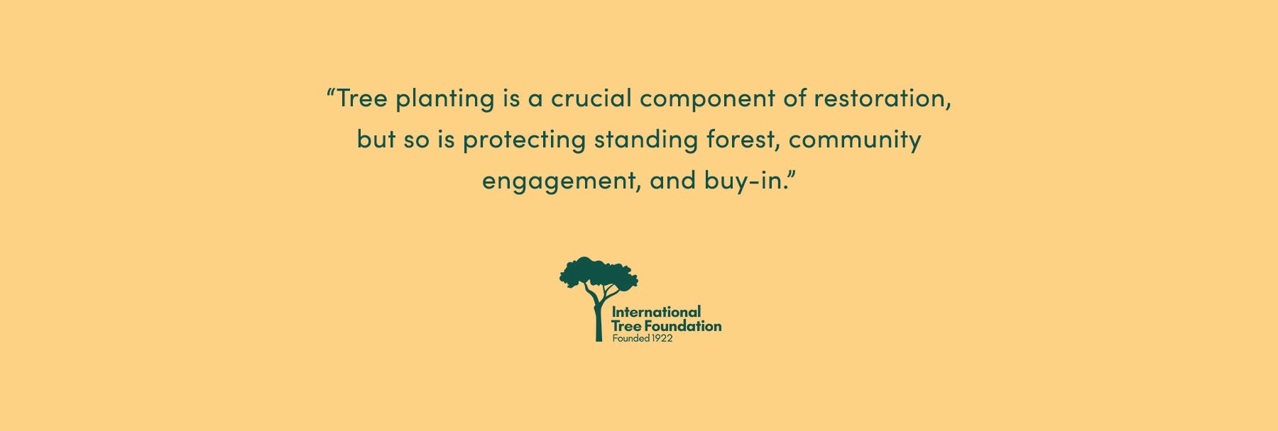 “Tree planting is a crucial component of restoration, but so is protecting standing forest, community engagement, and buy-in.” - International Tree Foundation