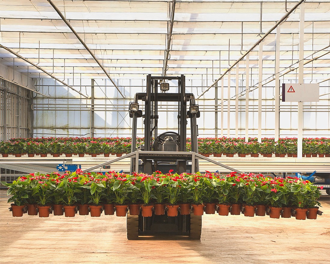 Big forklift lifting many flowers in a greenhouse