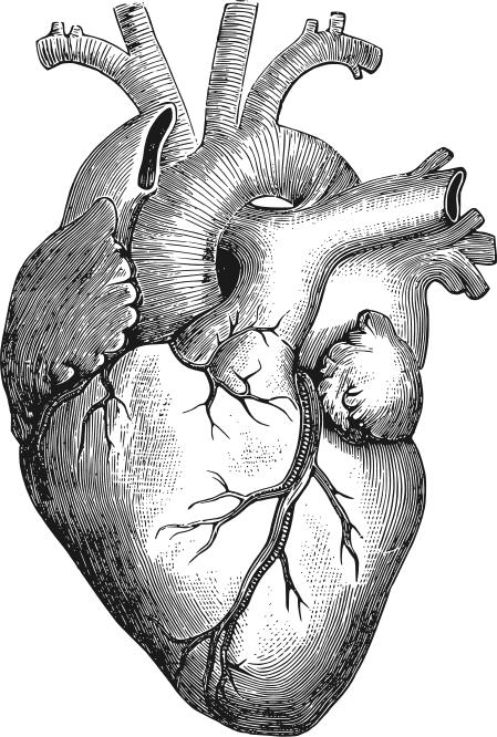 Heart image