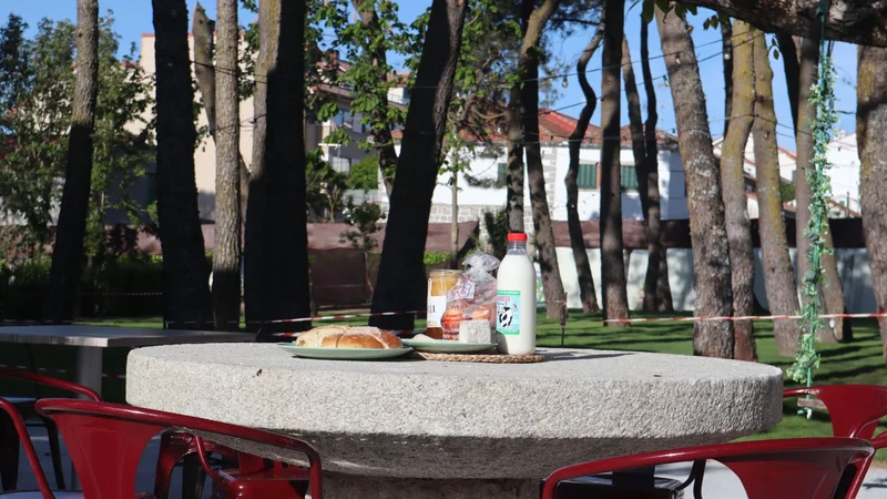 Gastronomía local