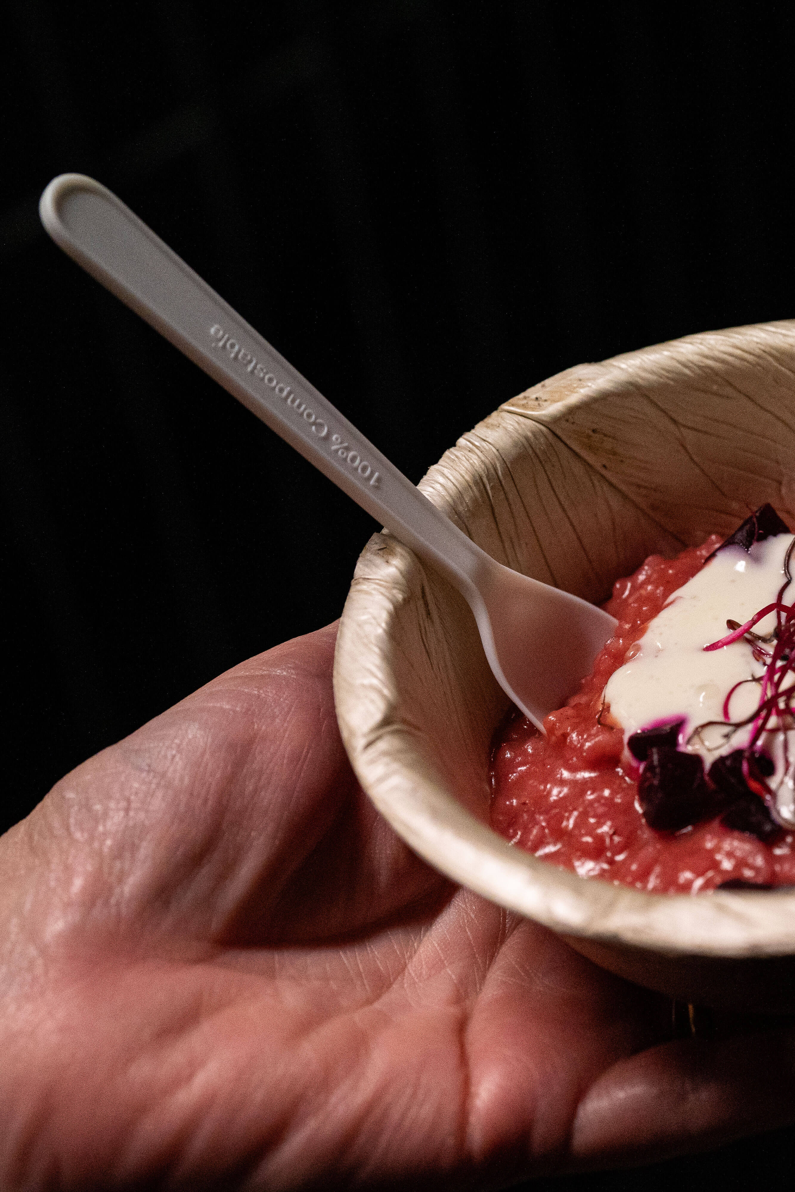 Primer plano de un aperitivo servido en un plato compostable