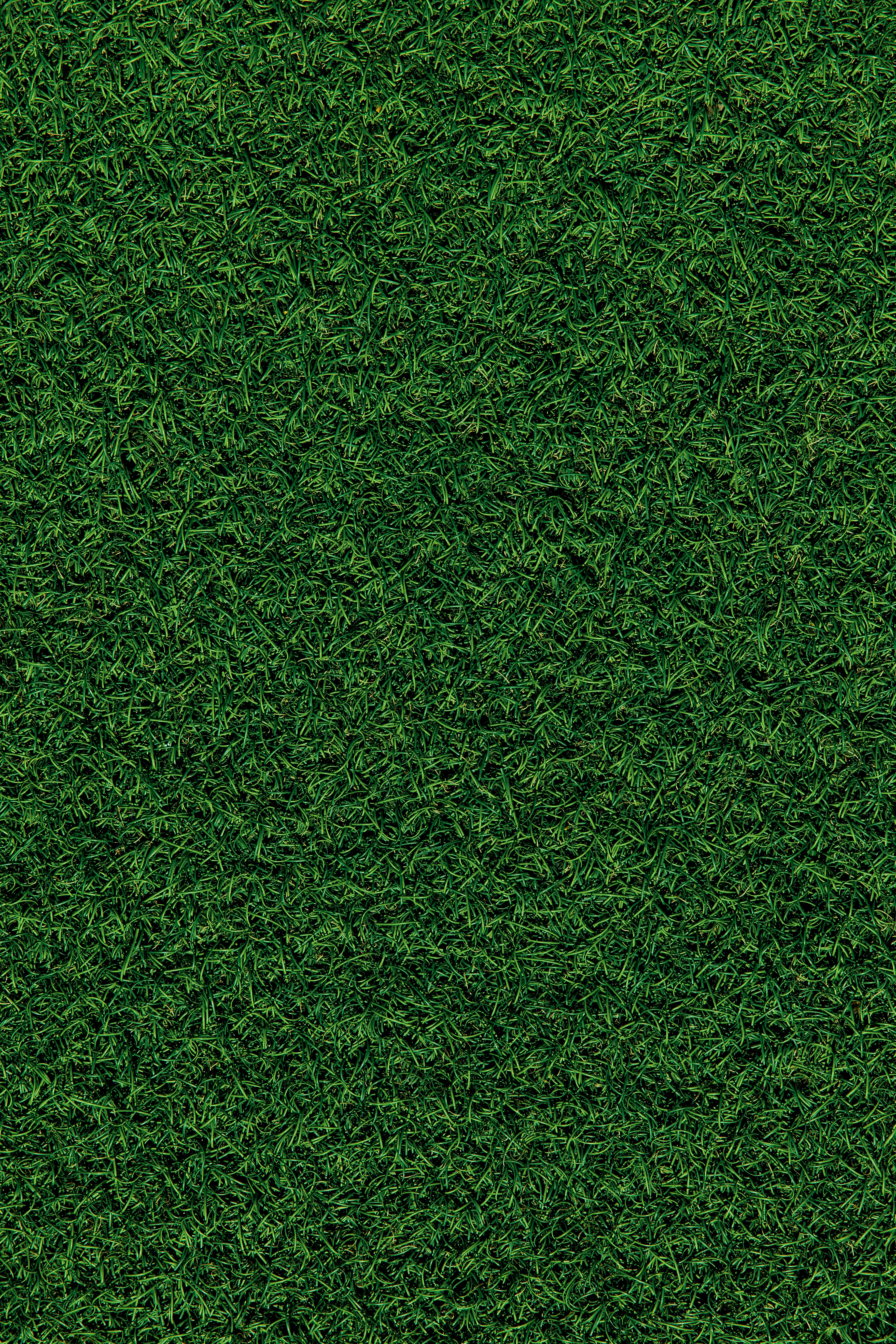 green grass field during daytime