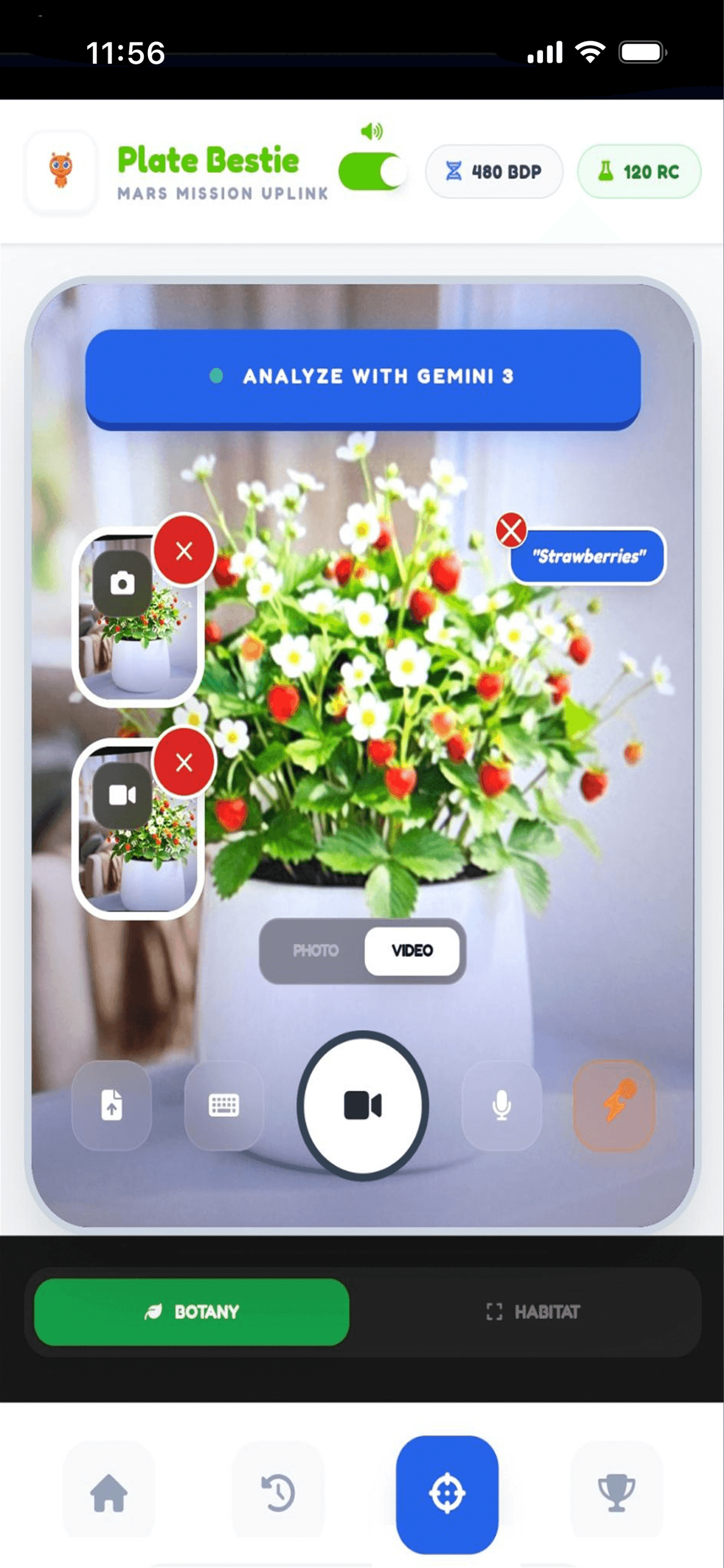 Project Gallery Image for 50% width of the screen #1