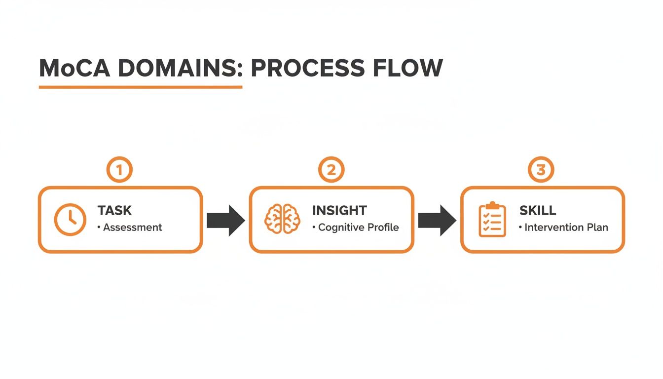 Process flow diagram illustrating MoCA domains: Task (assessment), Insight (cognitive profile), and Skill (intervention plan).