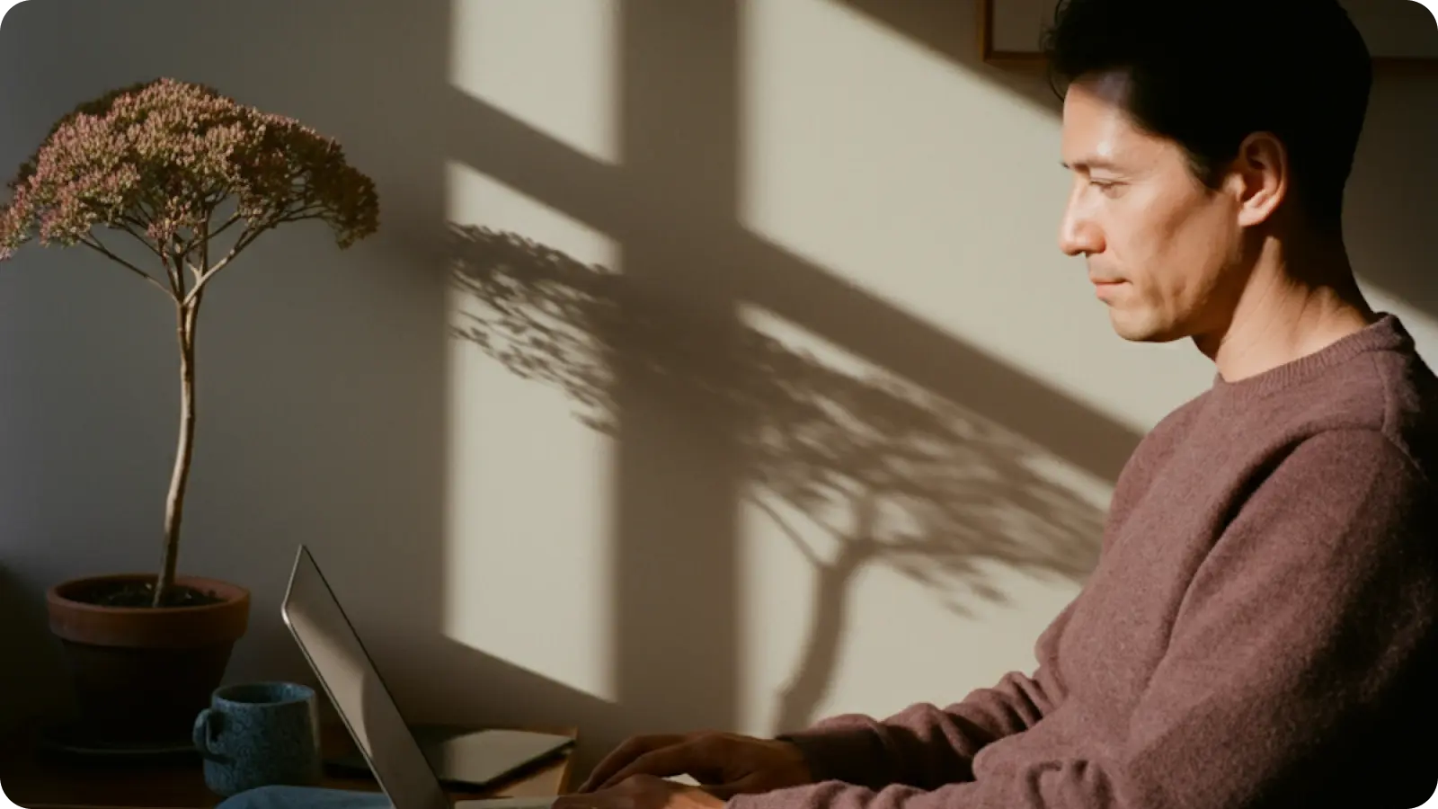 Man working on a laptop by a sunlit window with a potted plant.