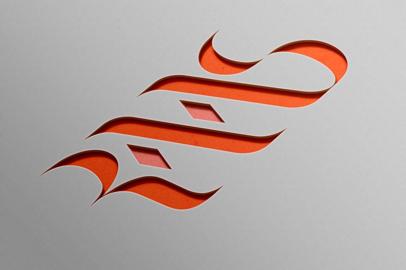 RAAS Cutout Logo