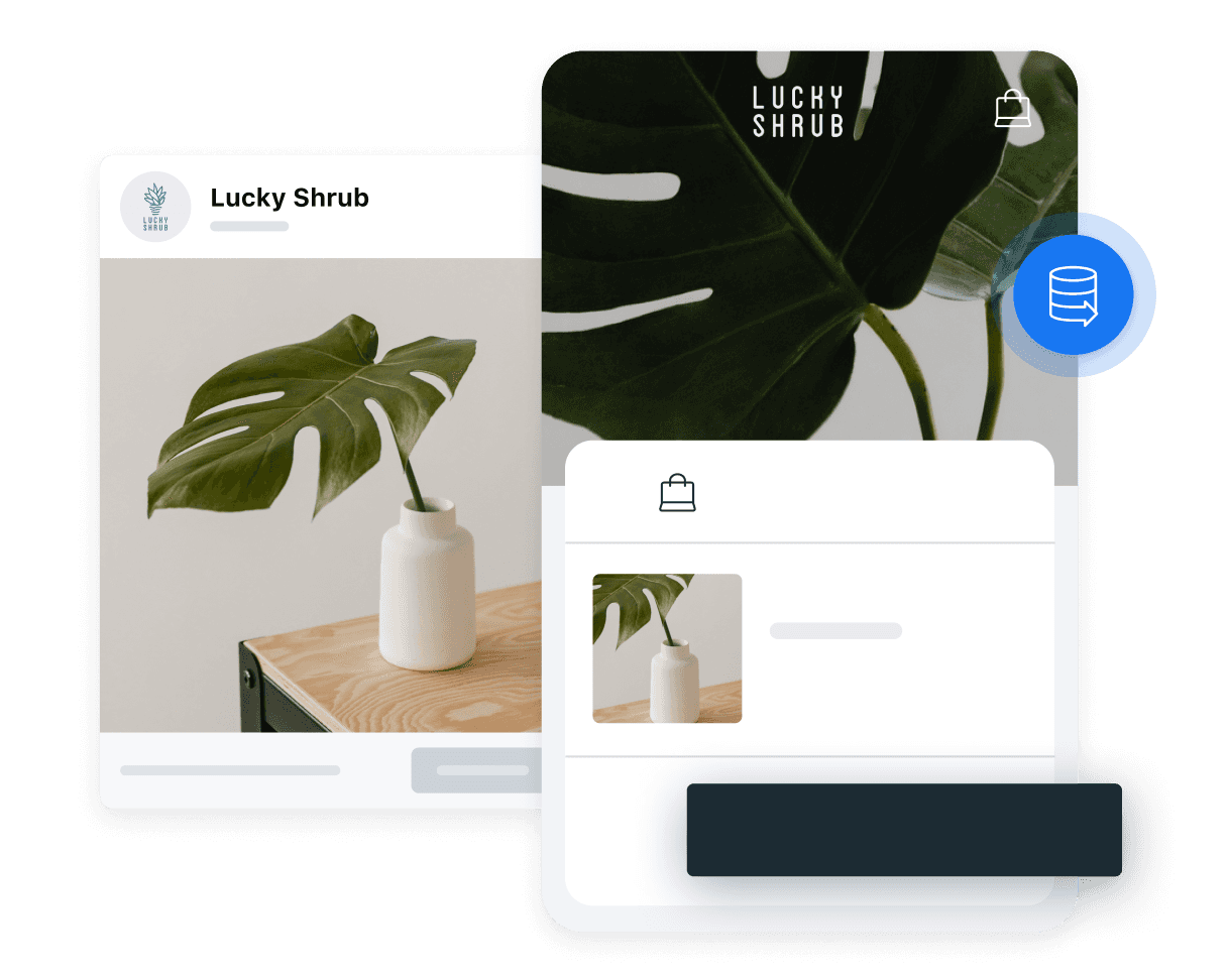 Lucky Shrub — connected storefront