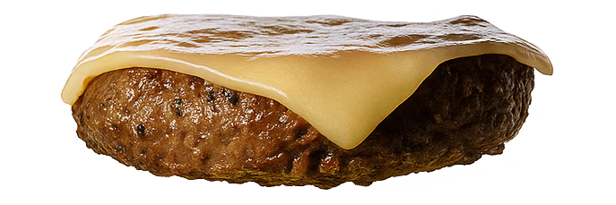 Patty With Cheese Slice