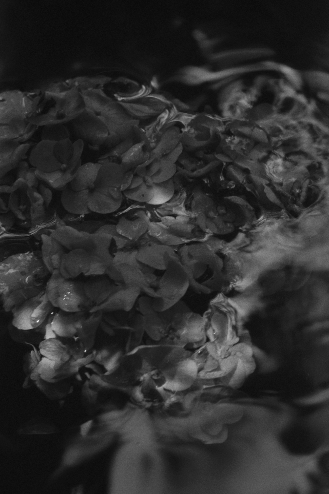 Taisei Matsumoto, 2023 exhibition work 018