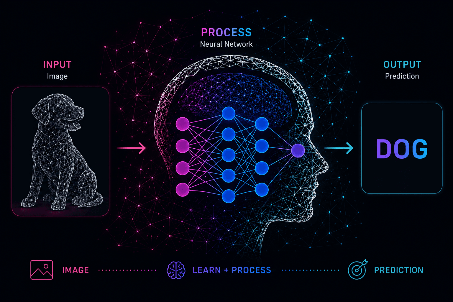 deep-neural-network