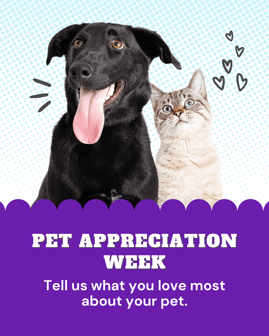 National Pet Appreciation Week
