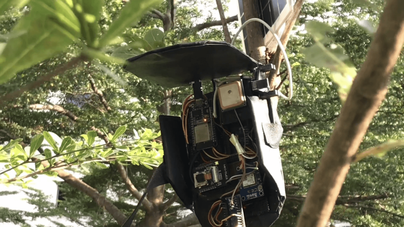 Close Shot of Reforest AI