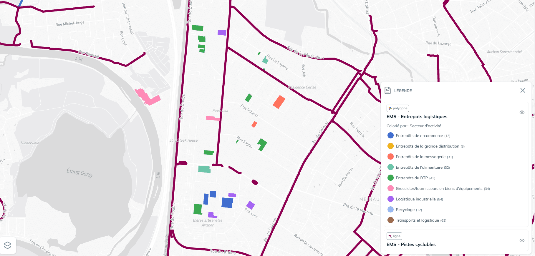 visualisation report modal