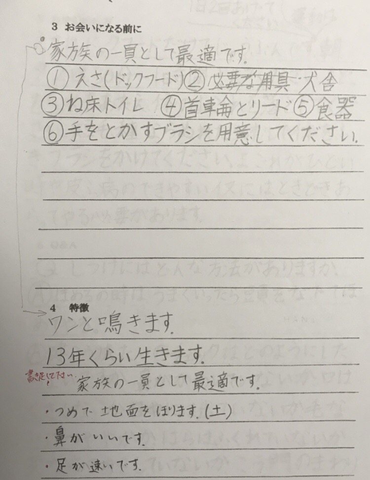 右往左往君への取説