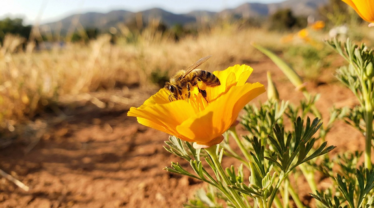 green and white leaf plant