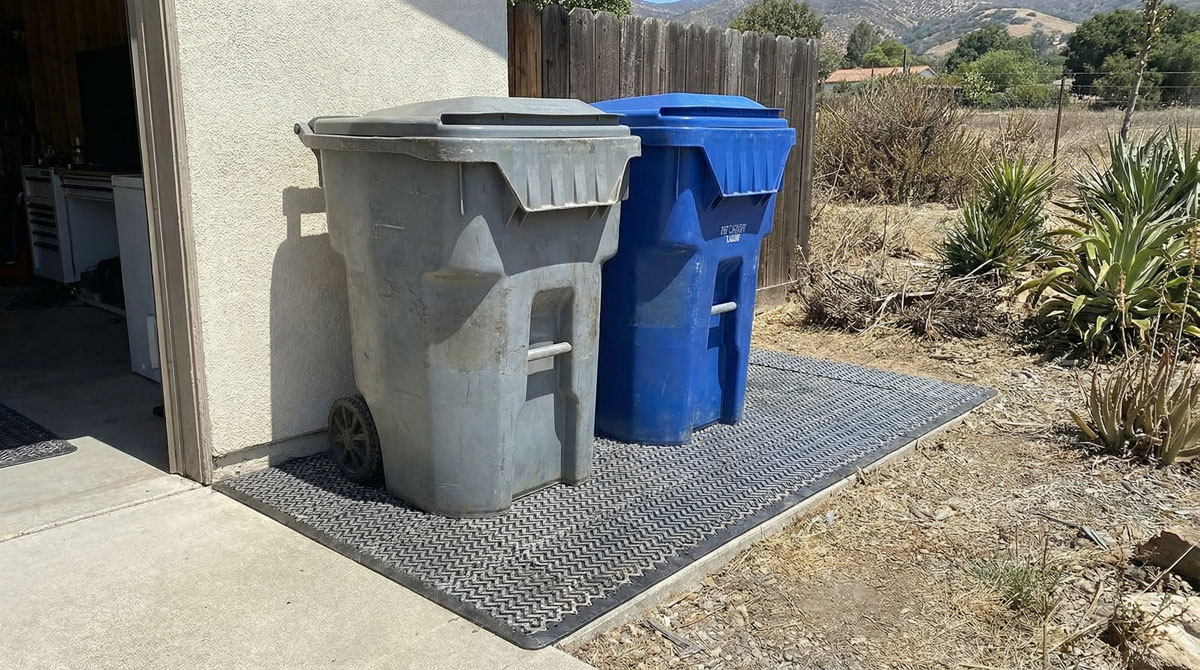 green and white leaf plant