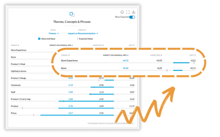 Analyze VoC data with Kapiche