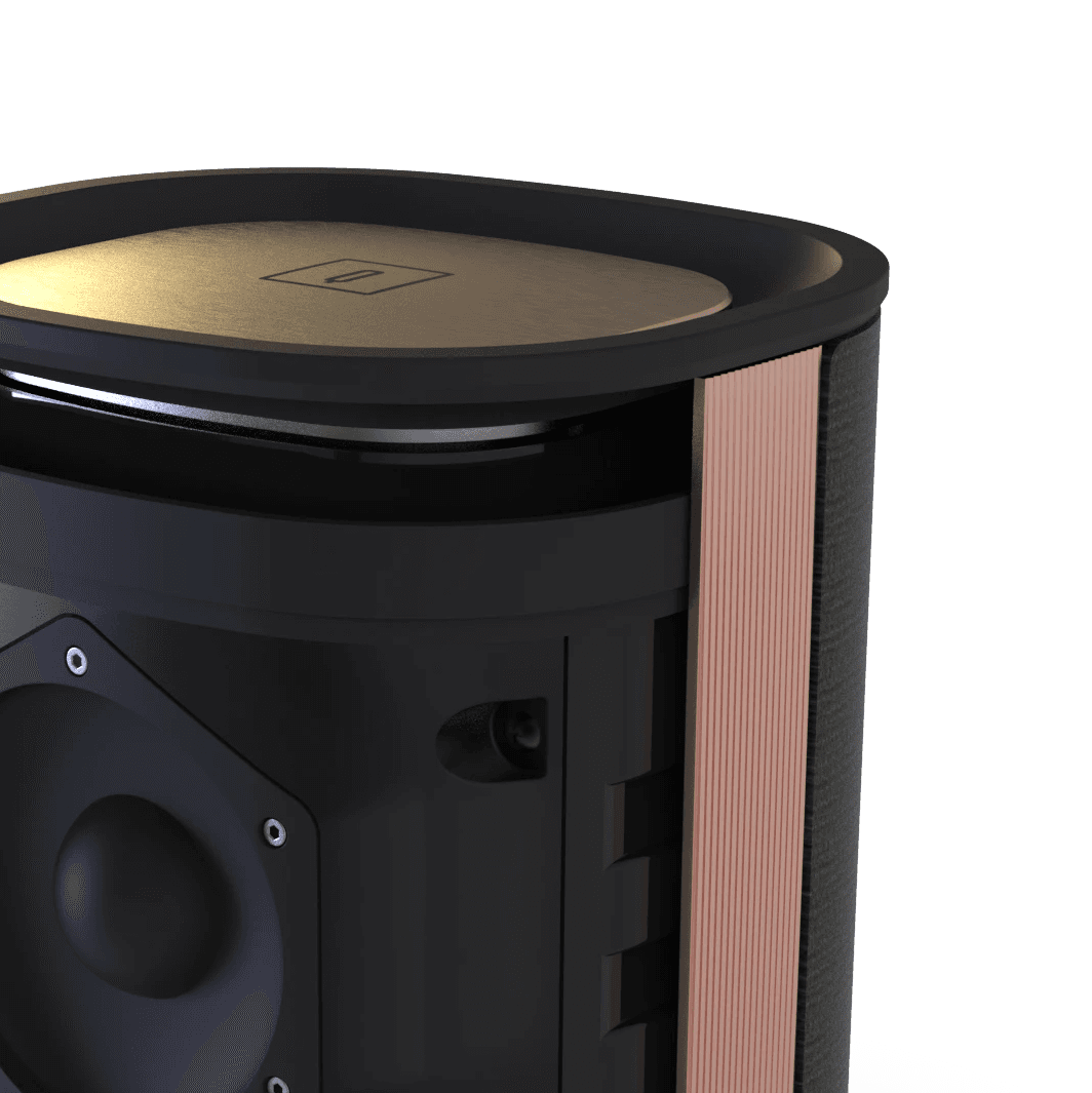 A speaker with the front grill removed.