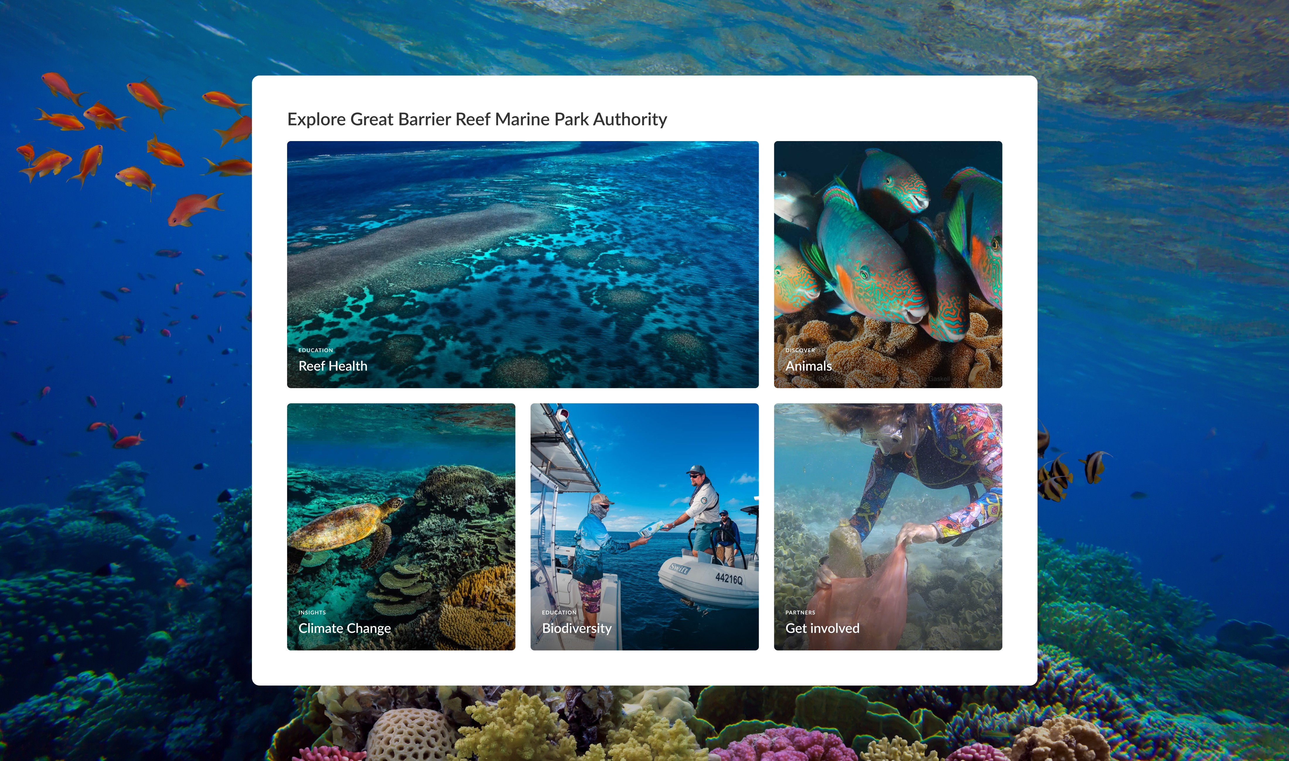 Web Design - Great Barrier Reef Marine Park Authority