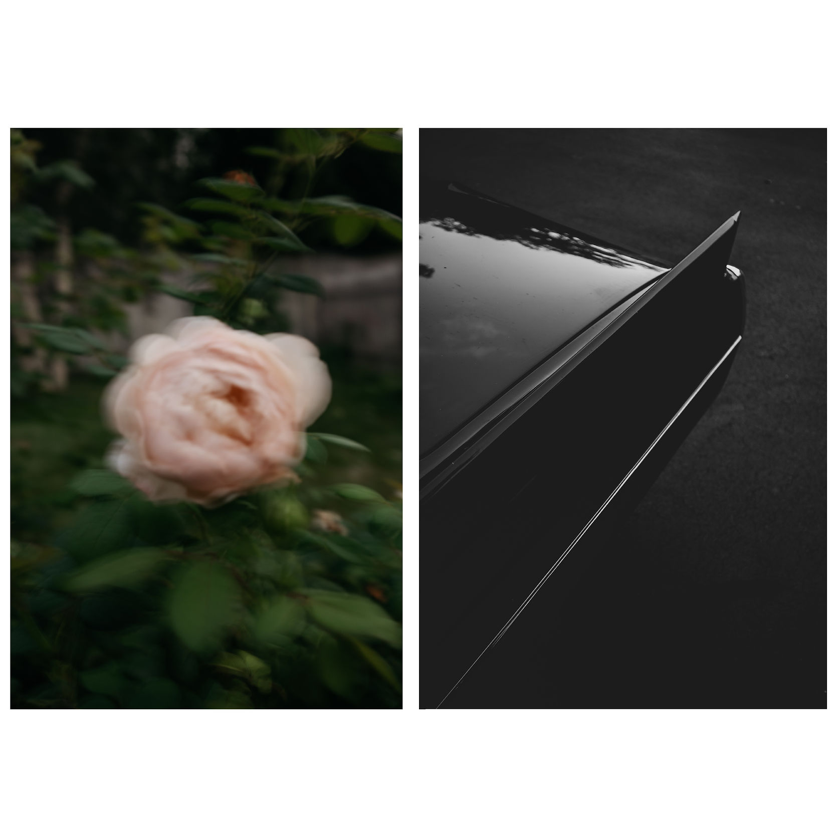 Artboard 17II3.jpg