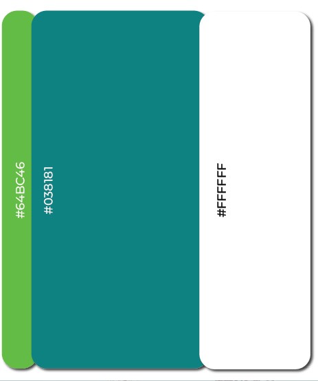 Brand color palette featuring a combination of green, red, and white to express vibrancy and balance