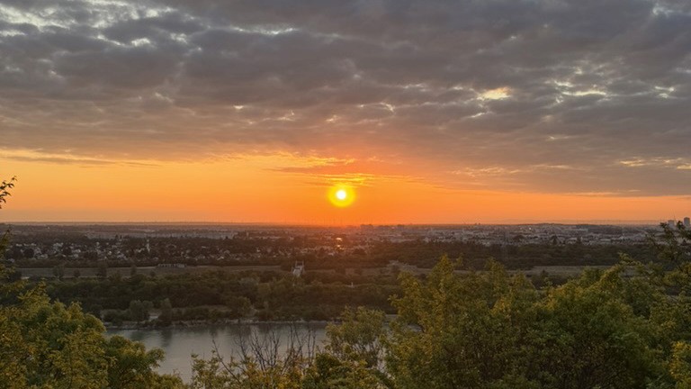 Sunrise in Vienna Shadowmap CEO selt test circadian health