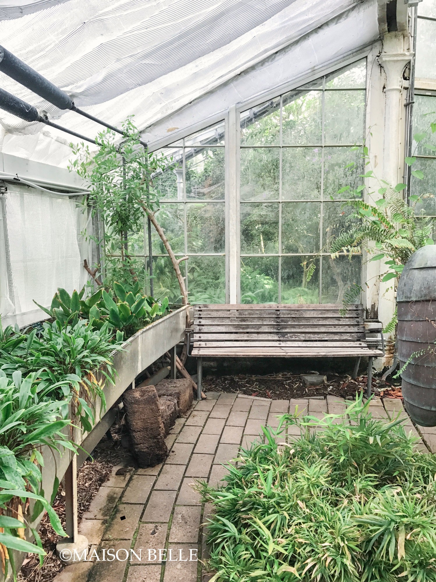 kopenhagen boanische tuinen