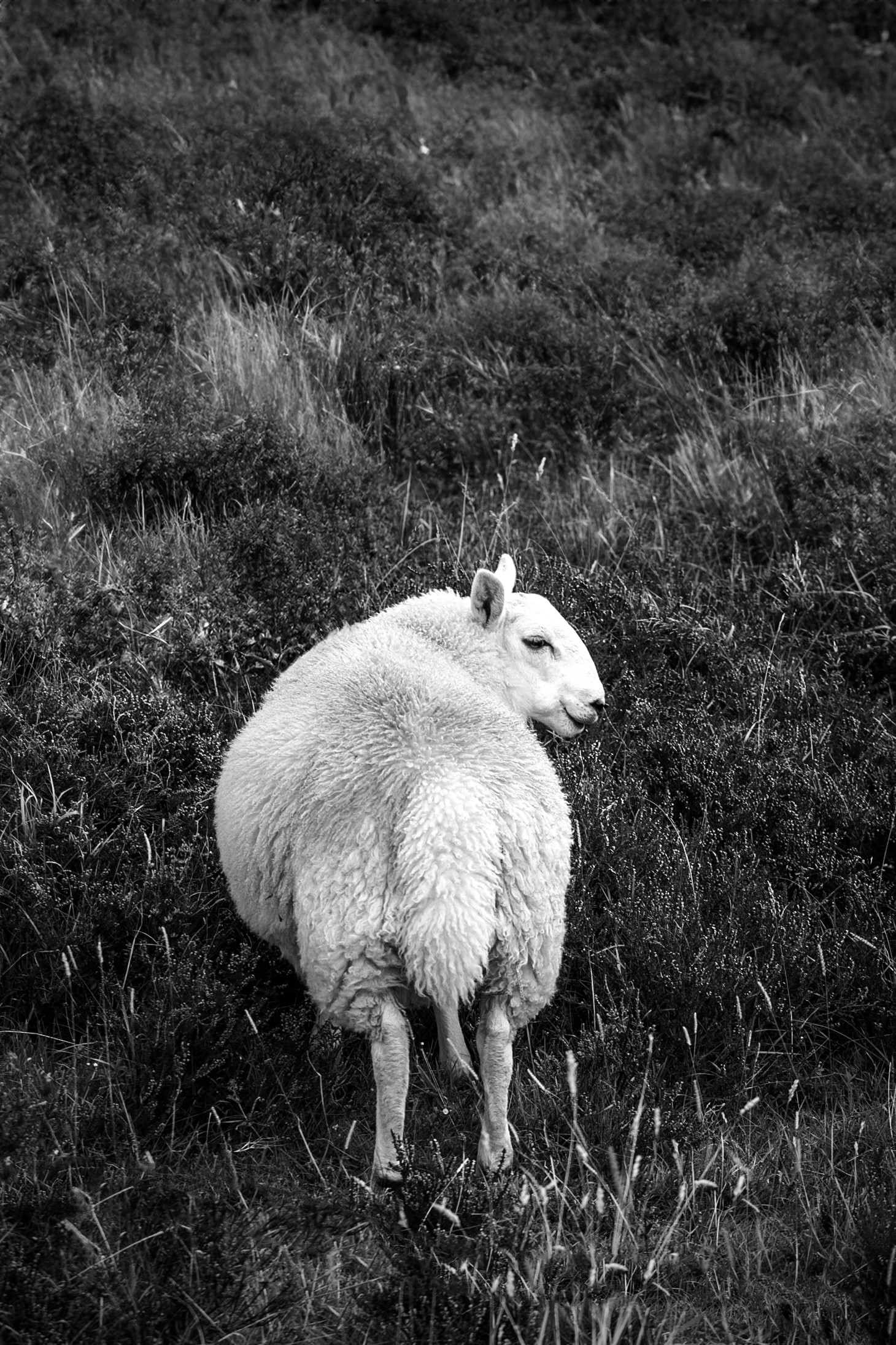 Girl with glasses look up