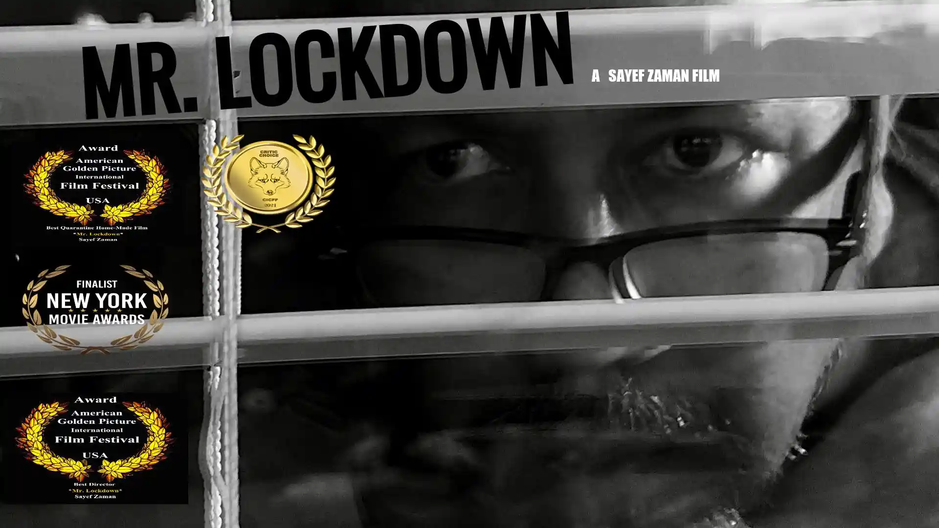 Poster of Mr. Lockdown movie
