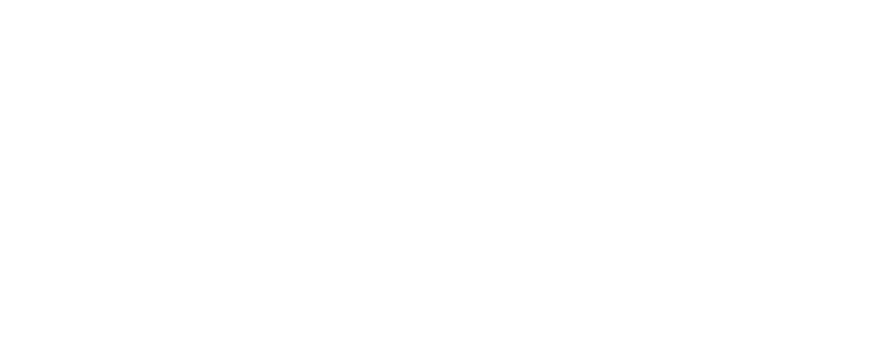 Solve Logistics logo