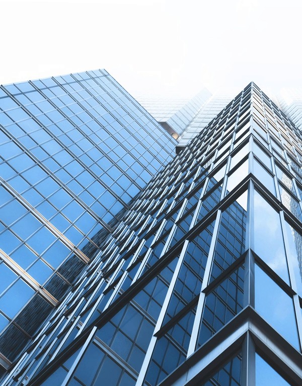 person holding black android smartphone