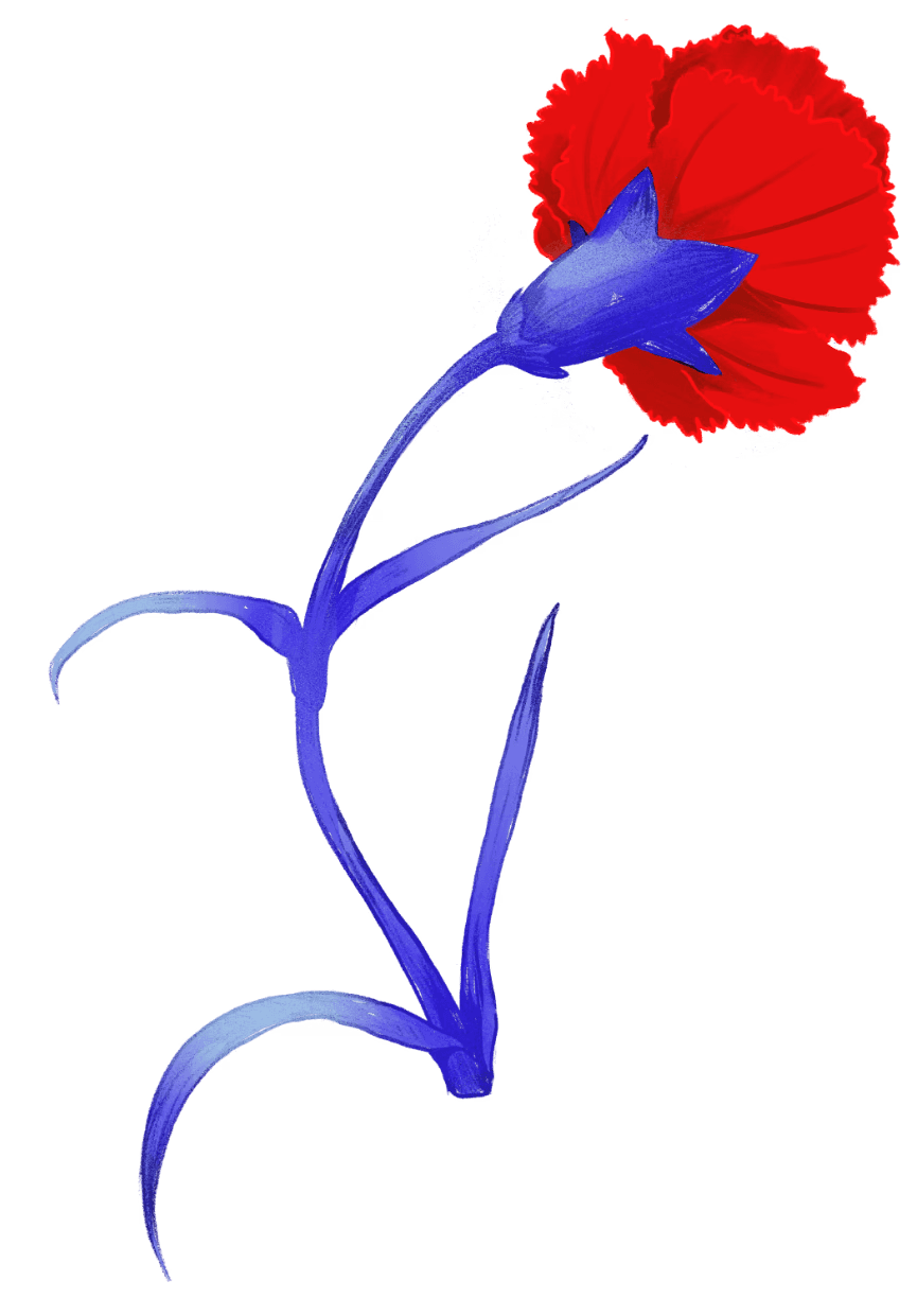 clavel rojo