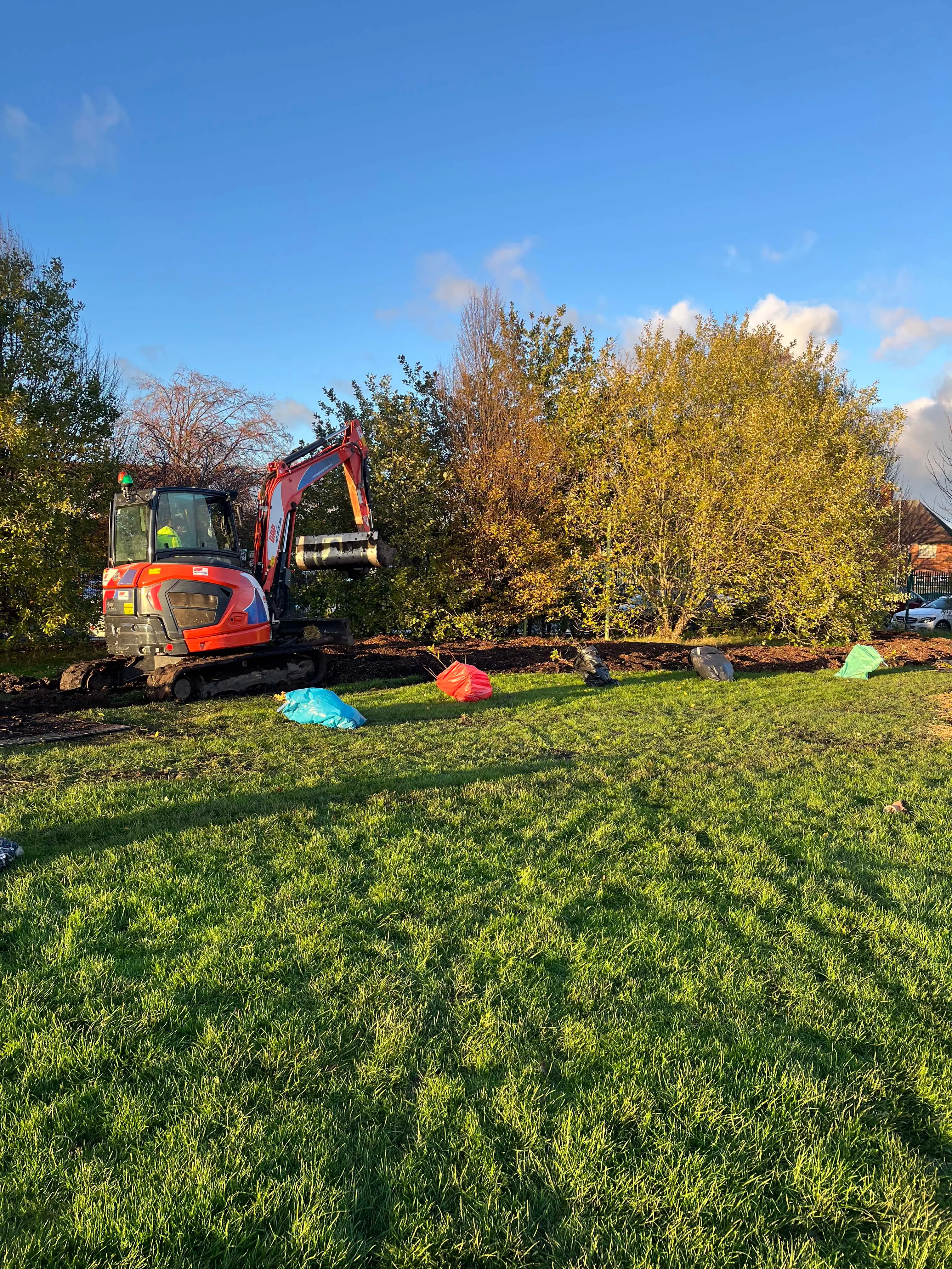 A sunny outdoor scene with green grass, colorful trees, and playground equipment in the background.