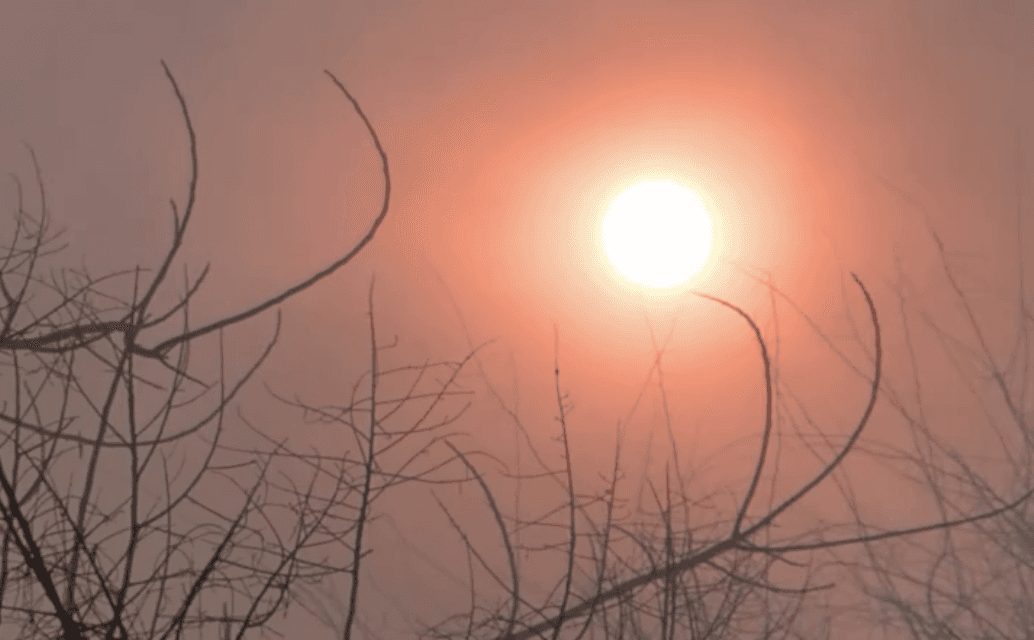 Stack of modern books and magazine with minimalist cover design on leather chair