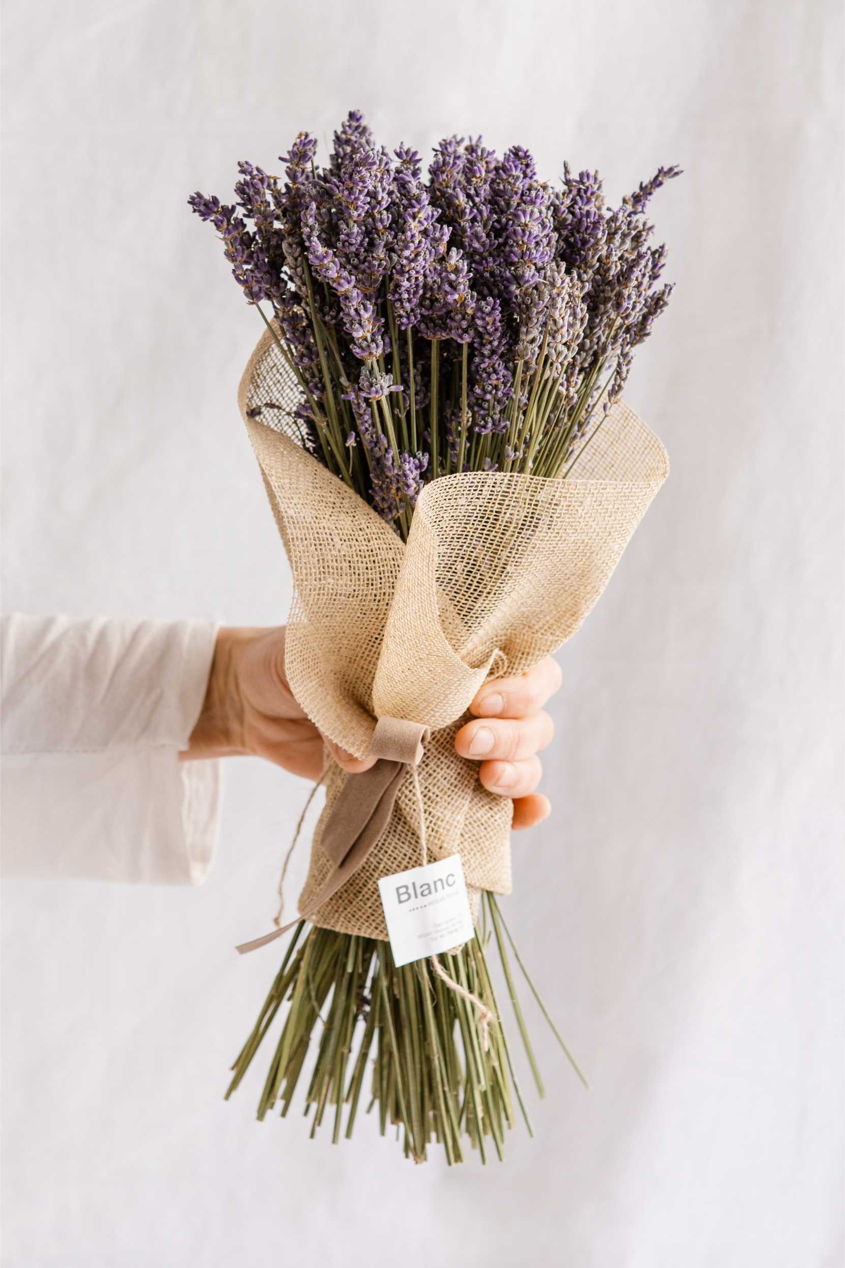 Mà sostenint un ram de lavanda seca embolcallat amb tela de jute i etiqueta de Blanc Estudi Floral.