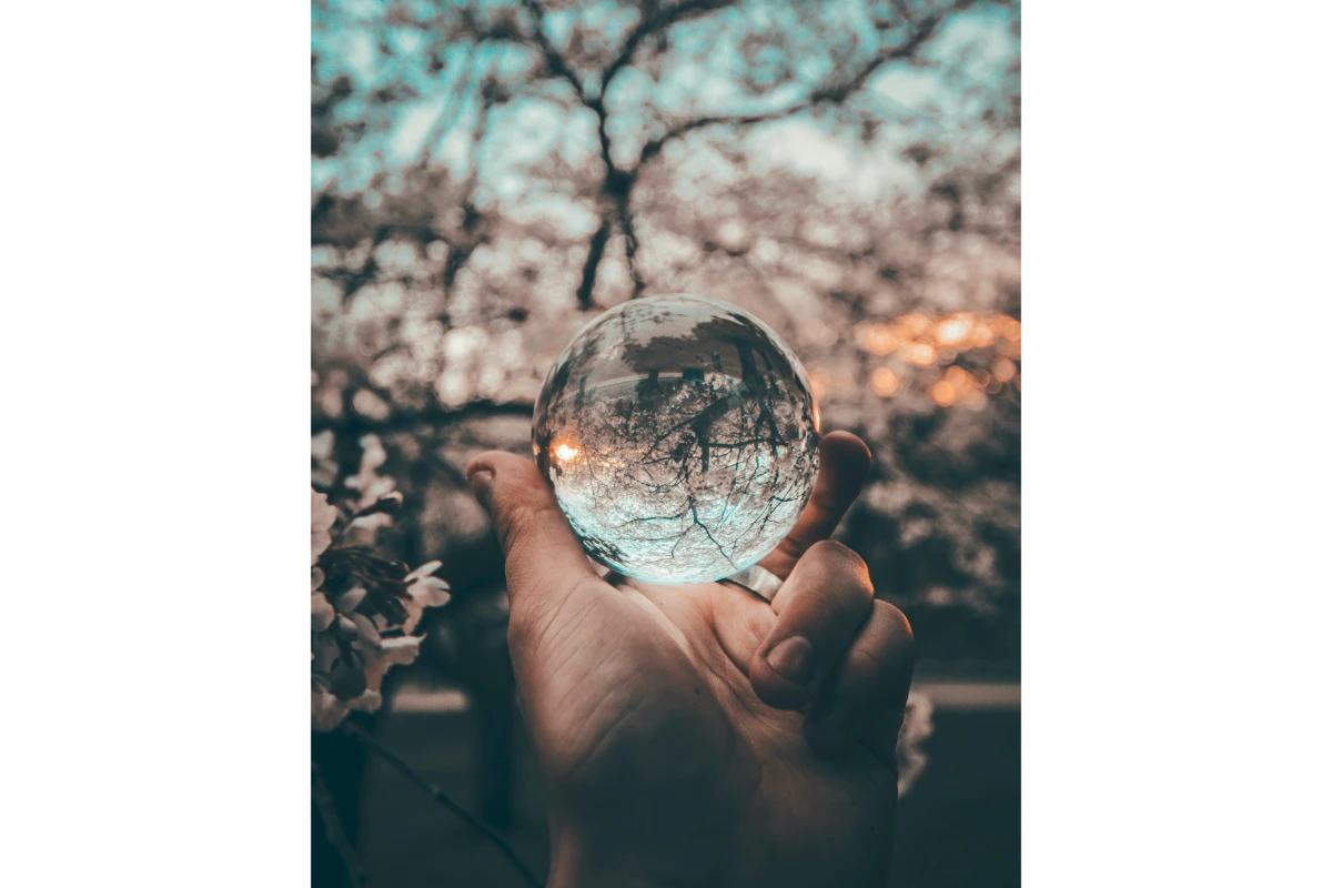 person holding round glass ball
