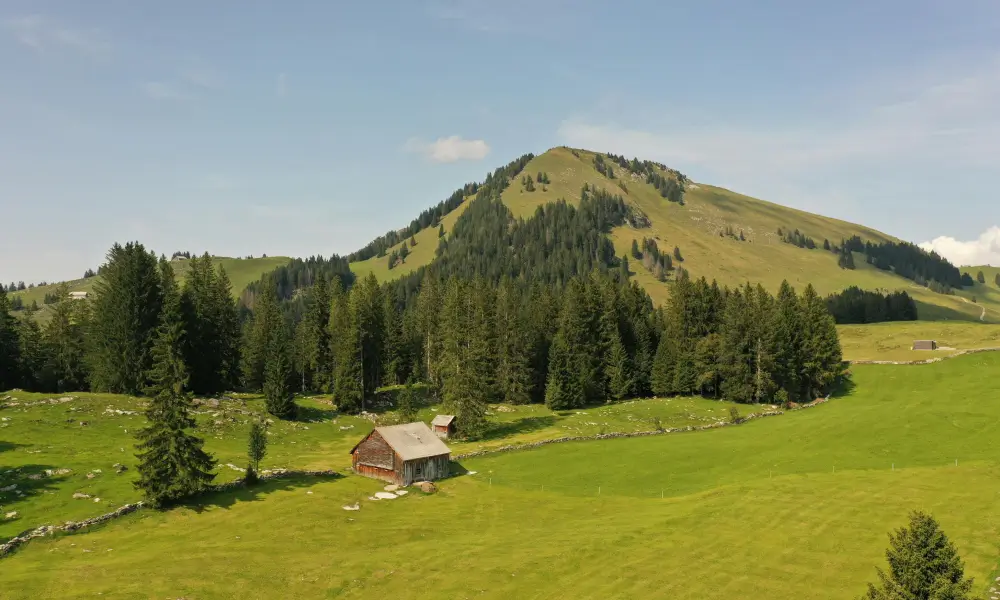 Hügellandschaft mit gemähten Feldern und kleiner Bauernhütte als Sinnbild für Güllemanagement in der Landwirtschaft.
