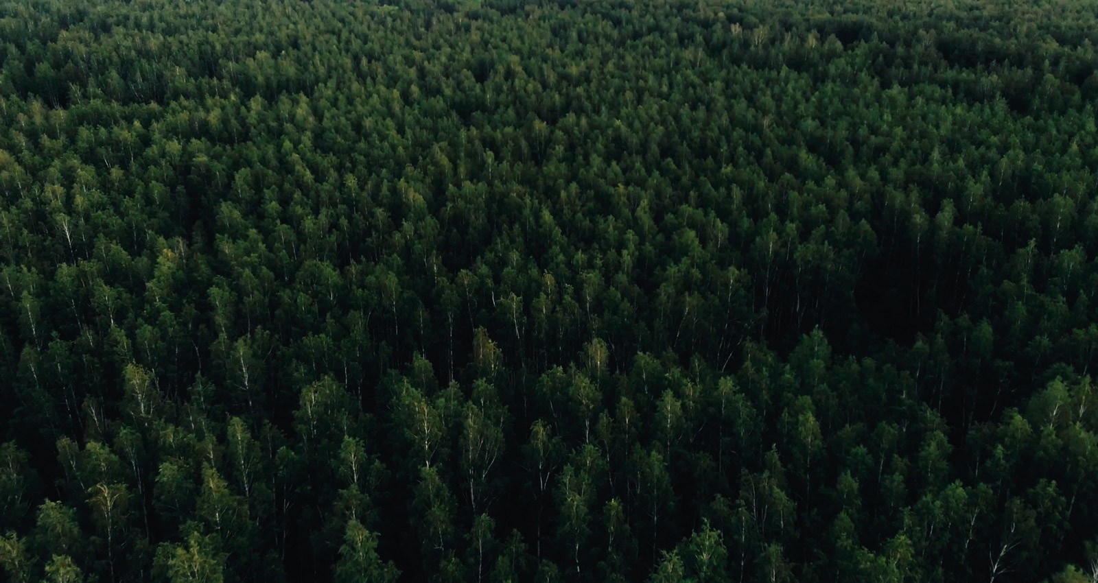 Straugatskii Project