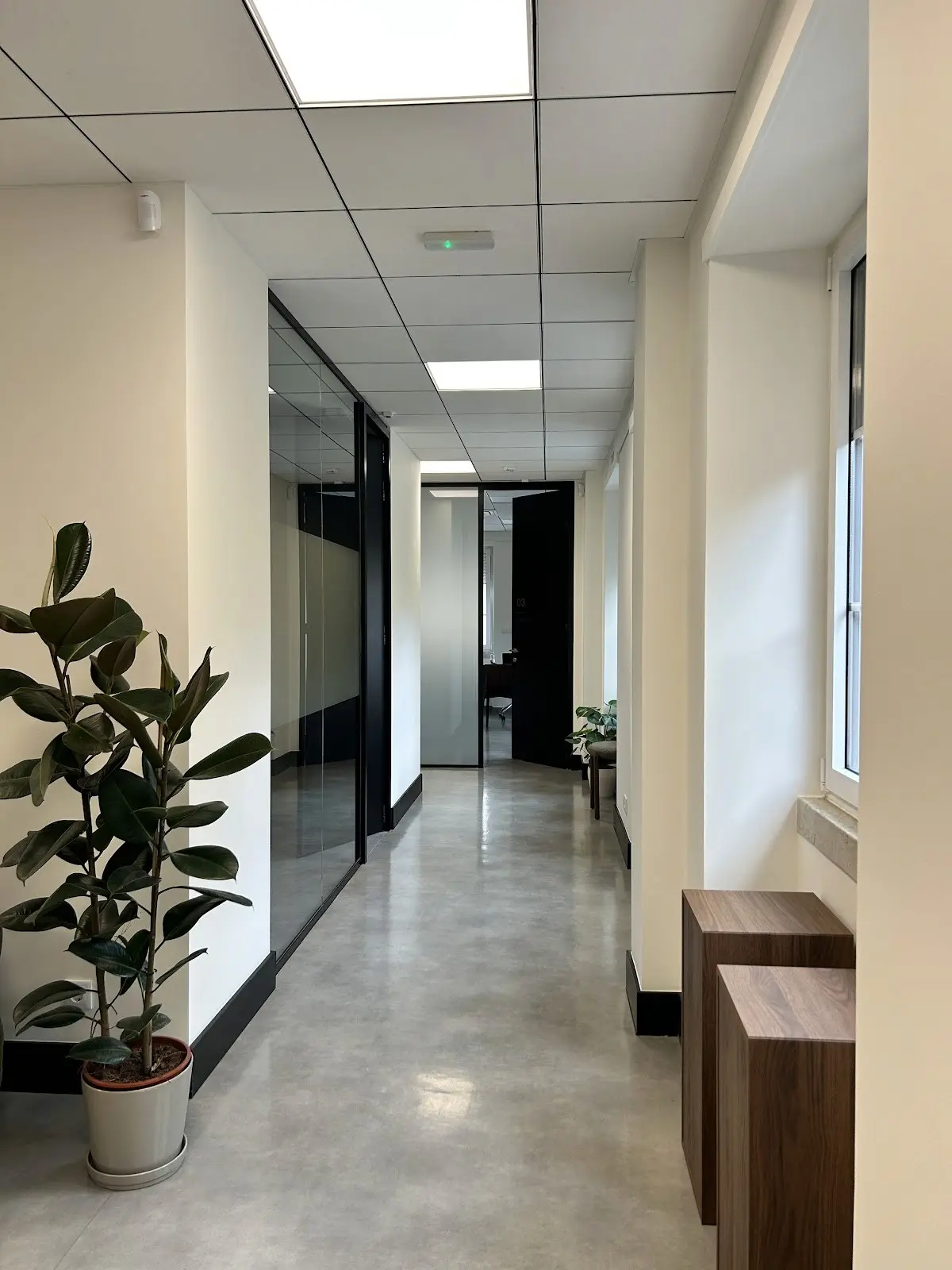 A plant-lined corridor inside the TejoMed clinic