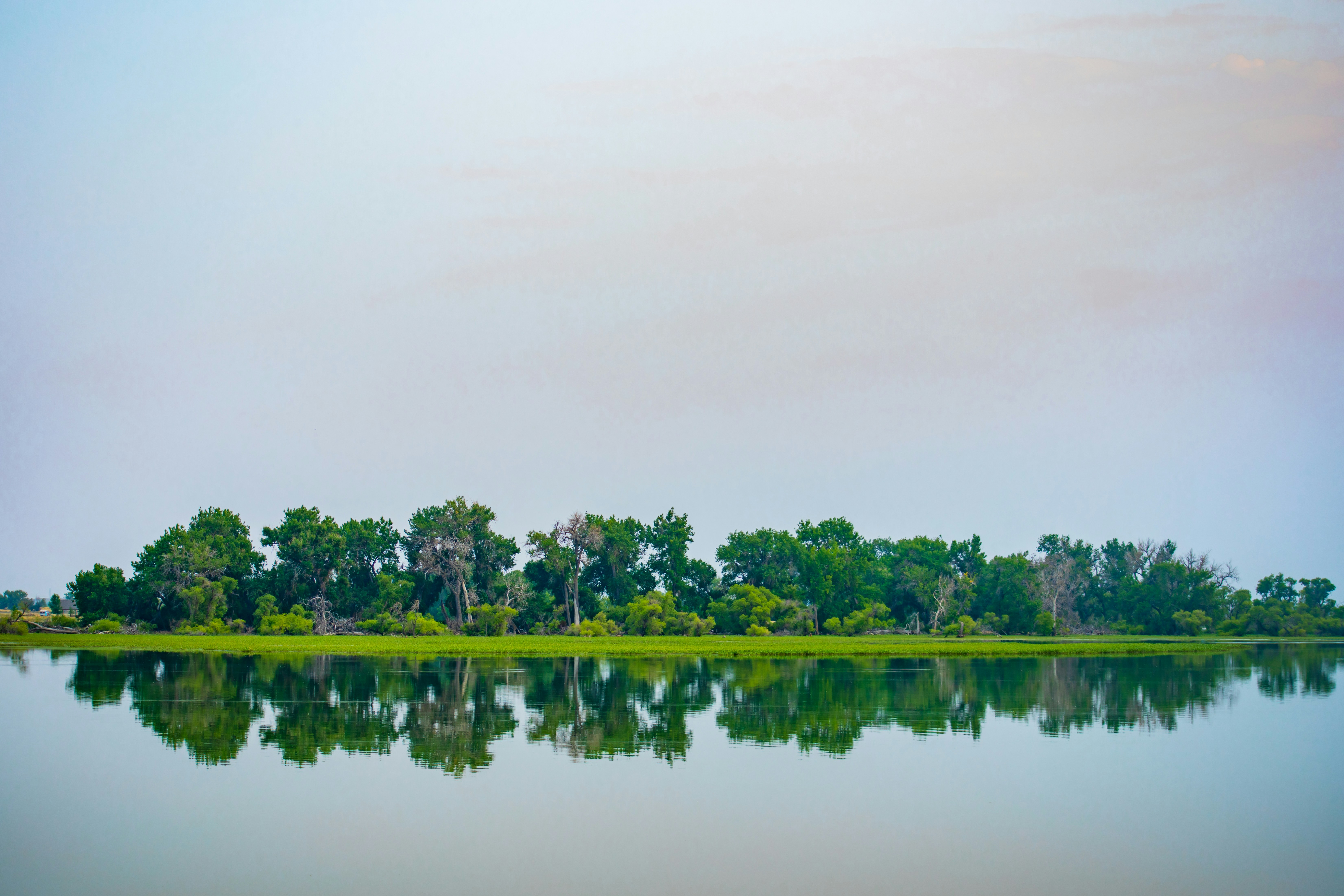 Kolkata Sundarbans
