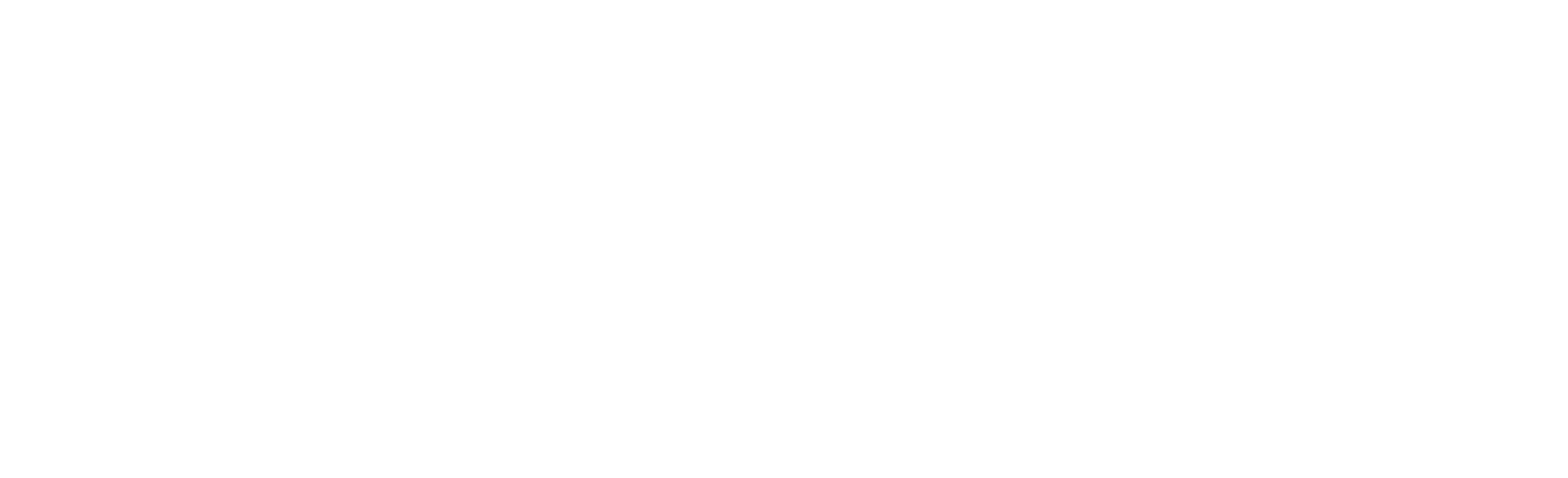 The Desi Spark logo