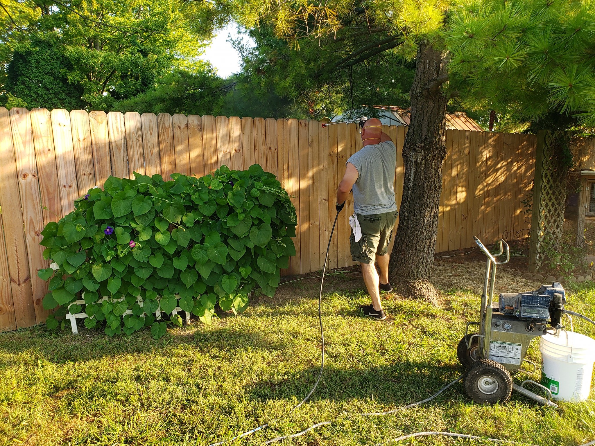 Image represeting the service