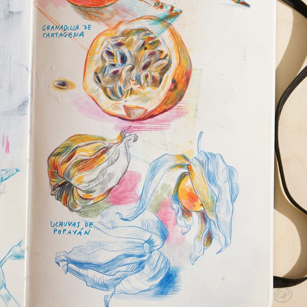 Foto eines Skizzenbuches mit botanischen Reiseskizzen