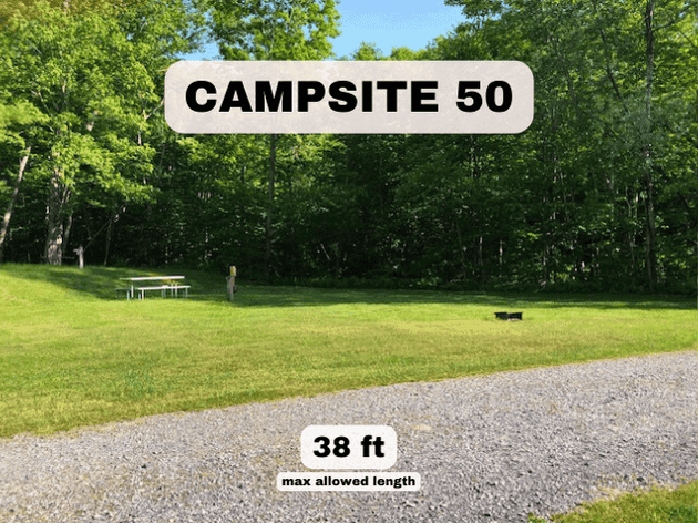 Campsite 50 at Pine Hollow Campground, a 38ft max length RV site with a picnic table and fire ring on a gravel pad