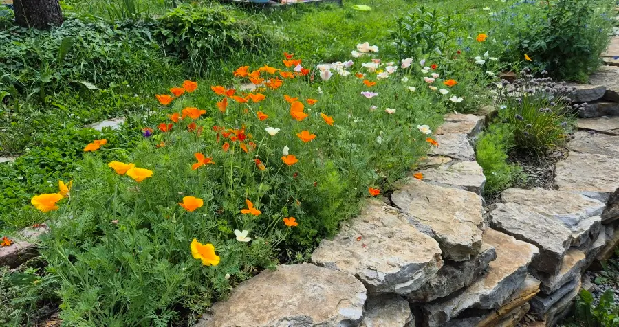 Práce s terénem - zídky