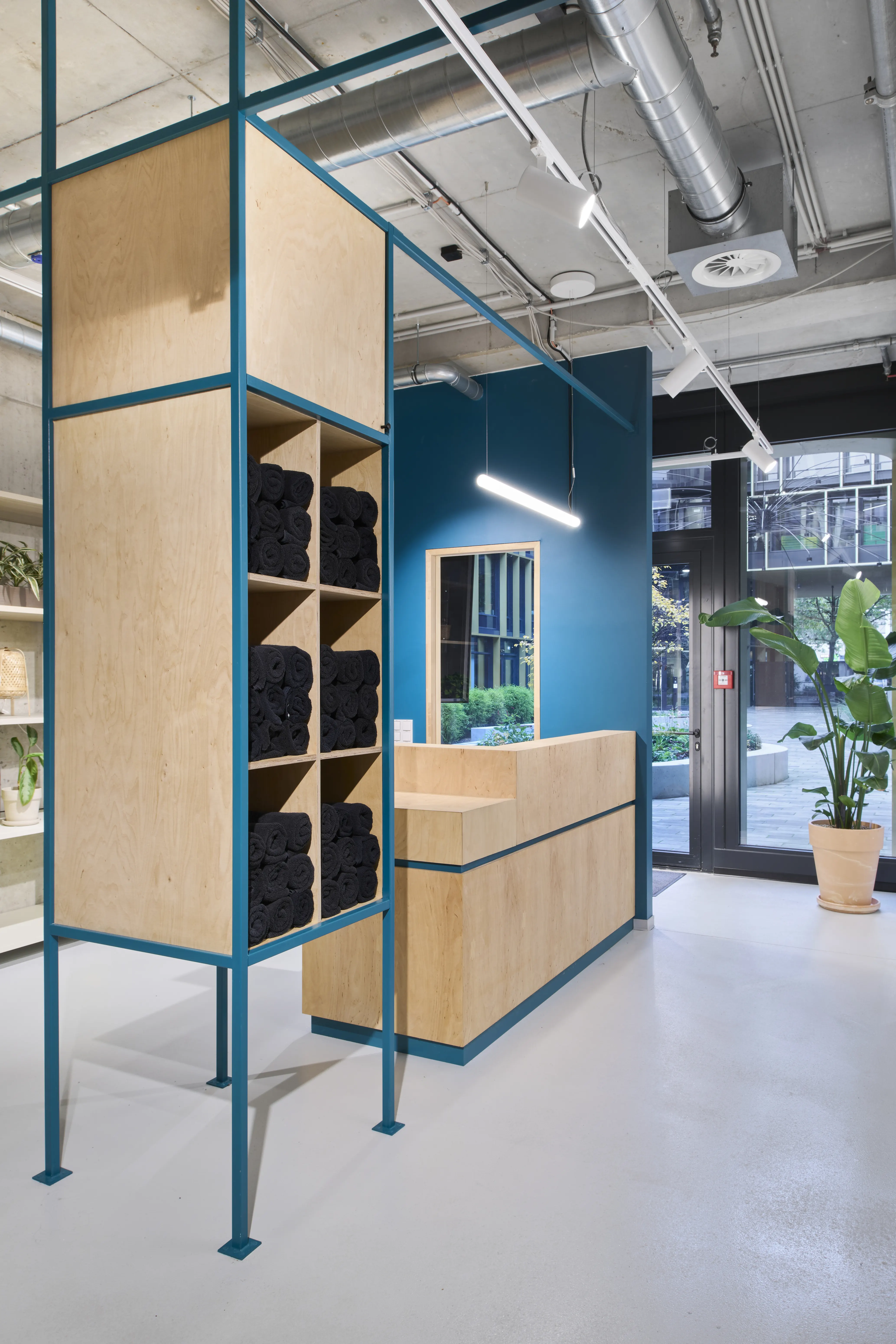 Reception of the HELLOFRESH GYM with plywood counter, petrol-blue accent wall, a teal steel-framed towel shelf and a large plant by the glass entrance.